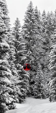 2020.02-Red-Cabin-White-Trees-Nina-Clare-Photo-750